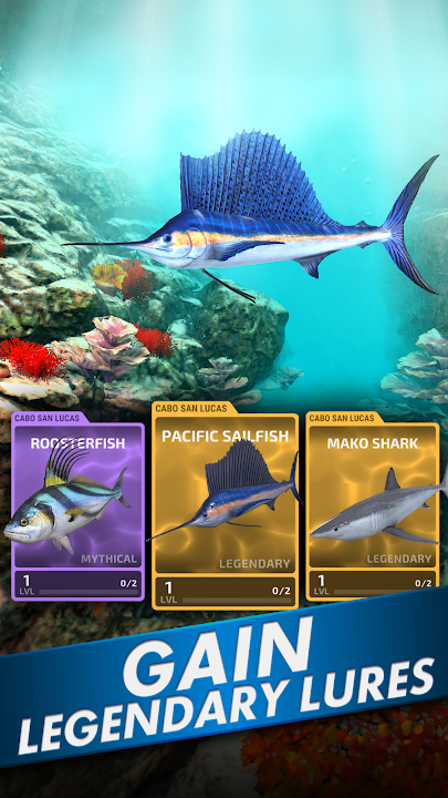 Gameplay